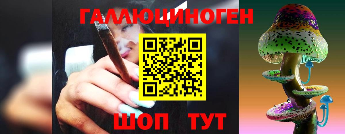 Светлоград  Псилоцибиновые грибы мицелий  Вход с VPN 